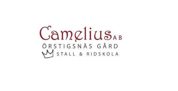 logotyp CameliusAB webb